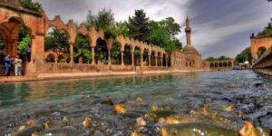 Urfa Foto Galeri