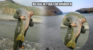 Balıkçılık