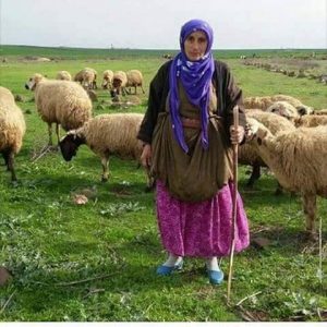 Urfamız Karışık Foto Galeri