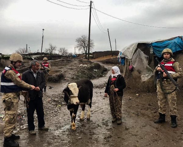 Diyarbakır'da inek hırsızlığına 3 gözaltı