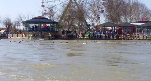 Irak'ta feribot battı: 40 ölü