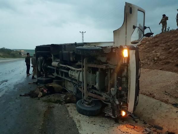 Diyarbakır'da kamyon koyun sürüsüne çarptı