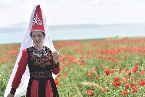 Van'da gelincik tarlalarına fotoğrafçı akını