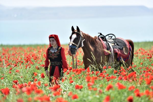 Van'da gelincik tarlalarına fotoğrafçı akını