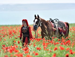 Van’da gelincik tarlalarına fotoğrafçı akını