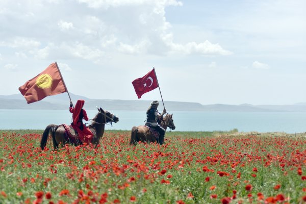 Van'da gelincik tarlalarına fotoğrafçı akını