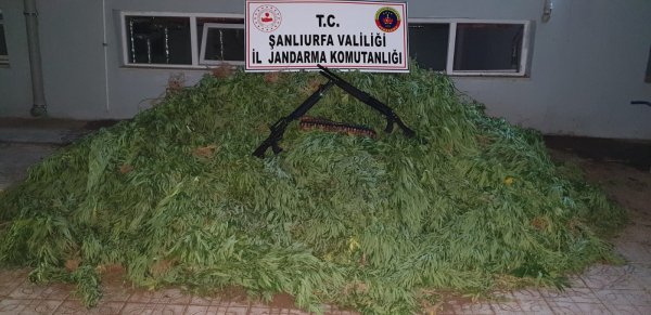 Şanlıurfa'da uyuşturucu operasyonu 