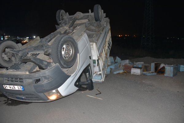 Şanlıurfa'da arı kovanları taşıyan kamyonet tırla çarpıştı