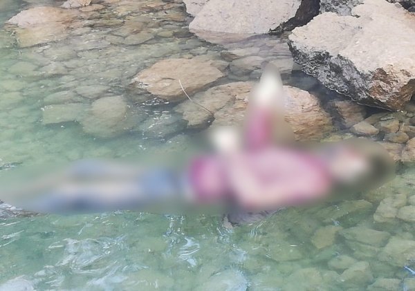 Tekne turu yapan turistler ceset gördü 
