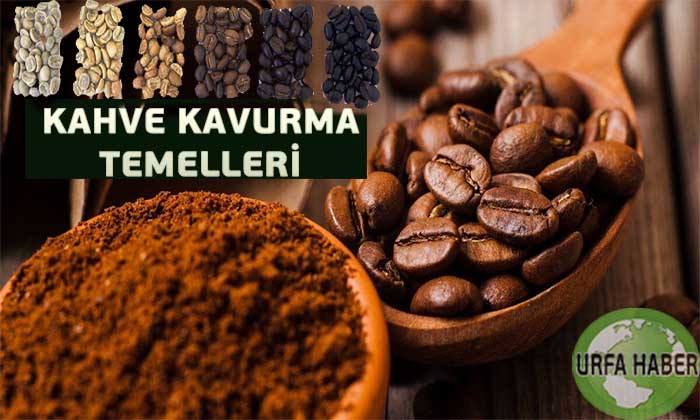 Kahve Kavurma Temelleri Nedir Nasıl Kavrulur?