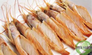 kerevitler-langoustines-nasil-pisirilir