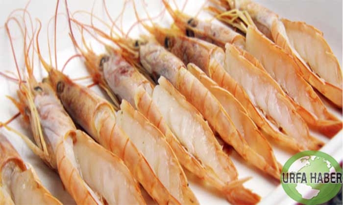 Kerevitler (Langoustines) nasıl pişirilir?