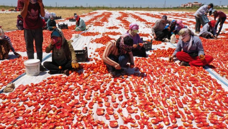 ‘Akça kadınlar’ hem üretiyor hem ihraç ediyor