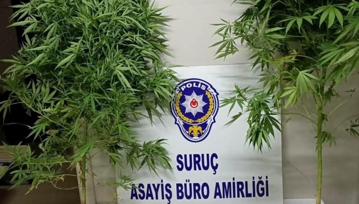 Suruç’ta uyuşturucu madde ve silah ele geçirildi