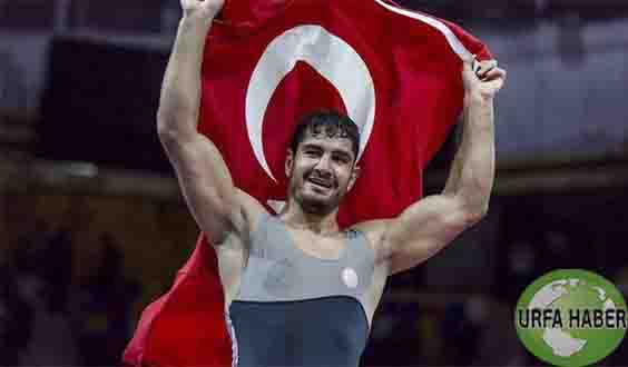 Milli Güreşçi Taha Akgül 9. kez Avrupa Şampiyonu oldu!