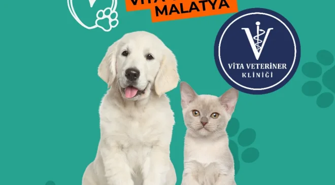 Malatya Vita Veteriner Kliniği