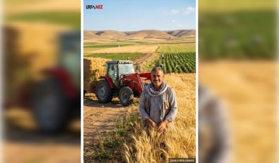 Şanlıurfa’da Tarımsal Desteklemelerde Yeni Dönem: Çiftçiler İçin Kritik Uyarı!