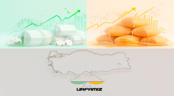 Şanlıurfa Ekonomisinde ‘Yeşil Altın’ ve ‘Sarı Altın’ Savaşı: Yatırımcı Ne Yapmalı? (2026 Analizi)