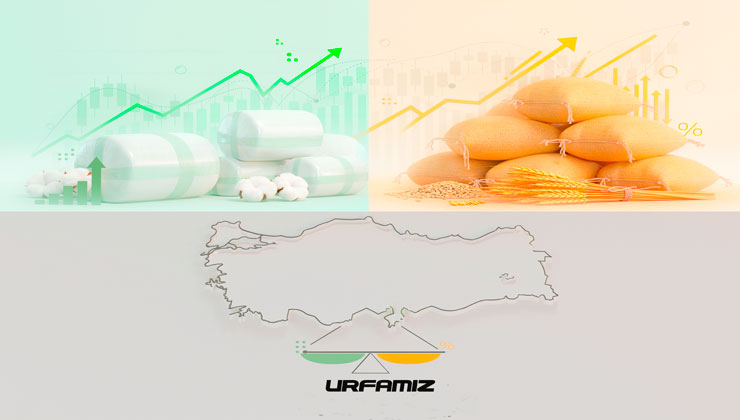 Şanlıurfa Ekonomisinde ‘Yeşil Altın’ ve ‘Sarı Altın’ Savaşı: Yatırımcı Ne Yapmalı? (2026 Analizi)