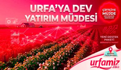 Urfa Haber: Şanlıurfalı Çiftçilere Dev Destekleme Müjdesi Geldi!