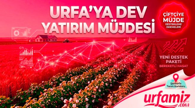 Urfa Haber: Şanlıurfalı Çiftçilere Dev Destekleme Müjdesi Geldi!