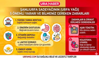 Şanlıurfa Sadeyağının (Urfa Yağı) 5 Önemli Yararı ve Bilmeniz Gereken Zararları