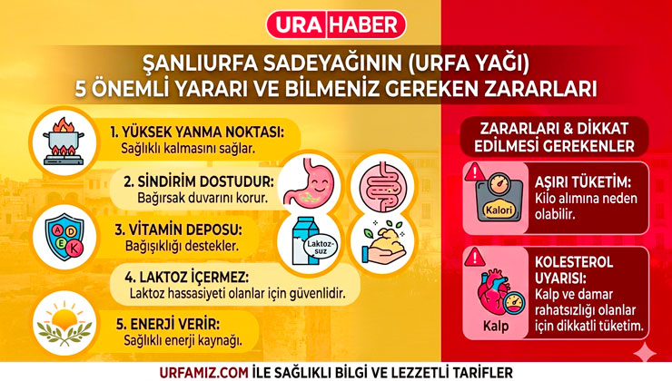Şanlıurfa Sadeyağının (Urfa Yağı) 5 Önemli Yararı ve Bilmeniz Gereken Zararları