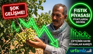 Urfa Son Dakika: Fıstık Fiyatlarında Şok Gelişme! Çiftçi Ayakta, Piyasalar Karıştı