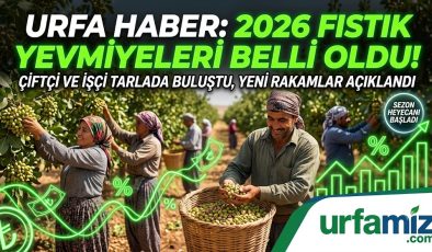 Urfa Haber: 2026 Fıstık Yevmiyeleri Belli Oldu! Çiftçi ve İşçi Tarlada Buluştu